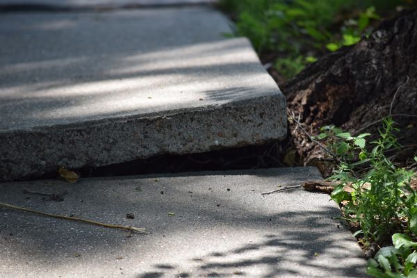 Sidewalk Leveling in Fairhope